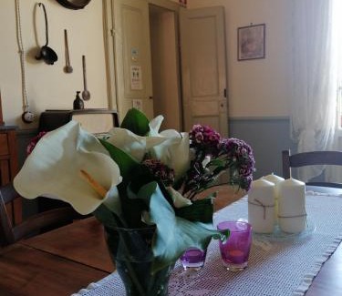 Lucca Historical Center Bed & Breakfast | Bed and Breakfast Evelina