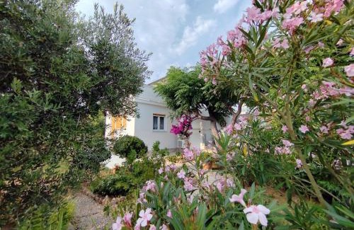 Barbat na Rabu Bed & Breakfast | Bed & Breakfast Josip