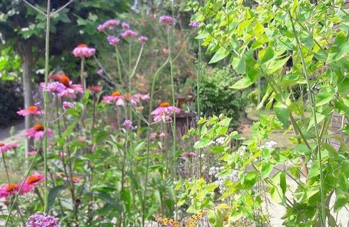 Westerlo Bed & Breakfast | Beeltjens B&B: Wolf&Belle