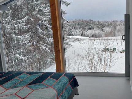 Kirchbach in Steiermark Apartment | Beim Bergjosl