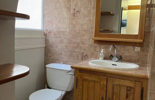 Cauterets Apartment | Bel Appartement en Centre, 1 Ch, Près Télécabines - FR-1-234-317