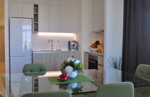 Sarajevska Apartment | Belgrade Vista Luxury Apartment 950 sqft - 2bed / 2bath with artistic style