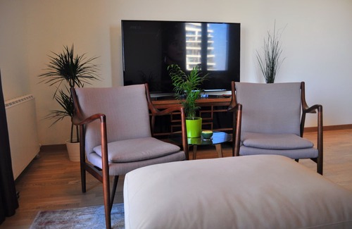 Sarajevska Apartment | Belgrade Vista Luxury Apartment 950 sqft - 2bed / 2bath with artistic style
