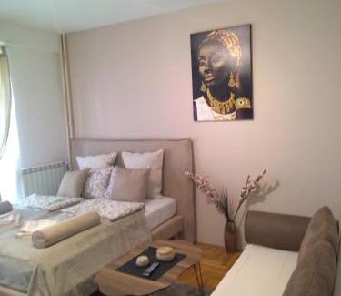 Vozdovac Apartment | Belimedik