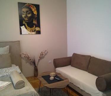 Vozdovac Apartment | Belimedik