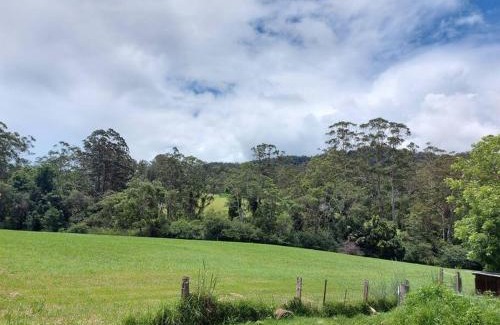 Brierfield Apartment | Bellingen Guest Suite with Forest Views