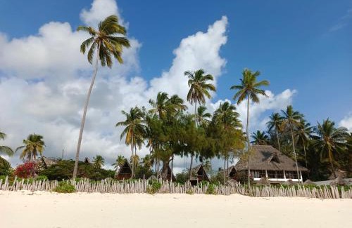 Jambiani Resort | Belvedere Resort