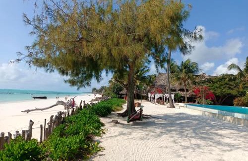 Jambiani Resort | Belvedere Resort