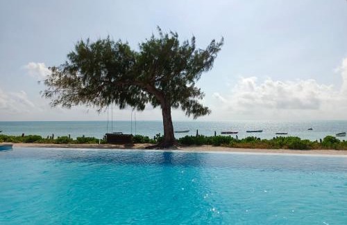 Jambiani Resort | Belvedere Resort