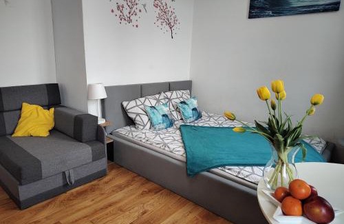 Torun House | Benny 3 na wyłączność