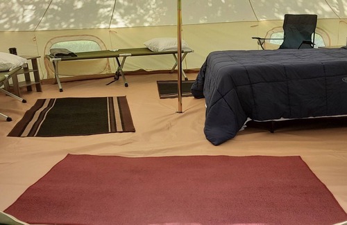 Spring Branch RV Rental | Bent Oak Glamping Tent Queen Bed, 2 Cots, Electric and AC