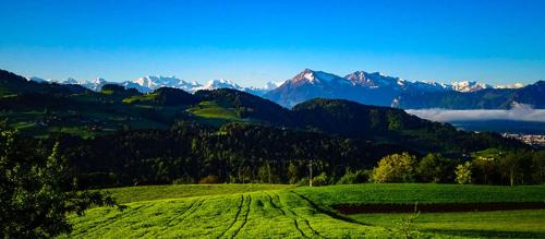 Fahrni Other | Bergblick