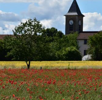 Lachaussee House | Bergerie Francique