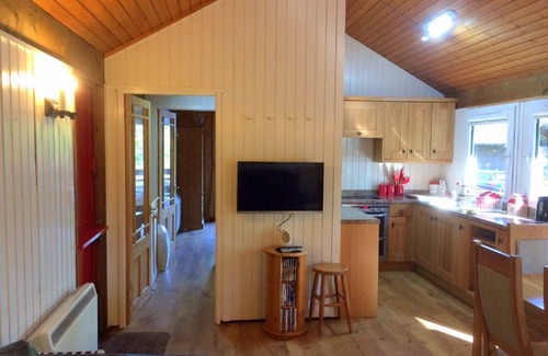 Taynuilt Cabin | Berneray is a charming cabin in a beautiful setting, deep in the forest.