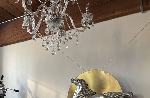 Parkdale Condo | Best original hard loft in town