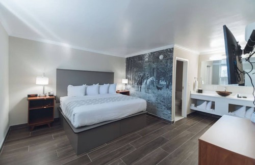 Ocala Hotel | Best Value! Free Breakfast & Parking, Pets Allowed, Seasonal Swimming Pool!