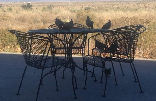 Marfa House | Best View in Marfa close to town!