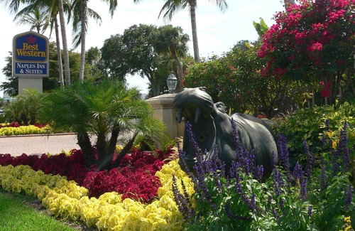 Moorings Hotel | Best Western Naples Inn & Suites