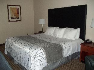 Mauston Hotel | Best Western Park Oasis Inn