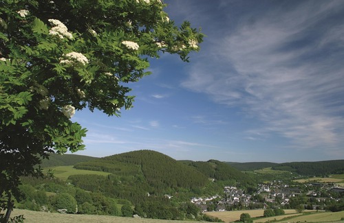 Ortsmitte Hotel | Best Western Plus Hotel Willingen