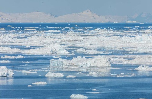 Ilulissat Hotel | Best Western Plus Hotel Ilulissat