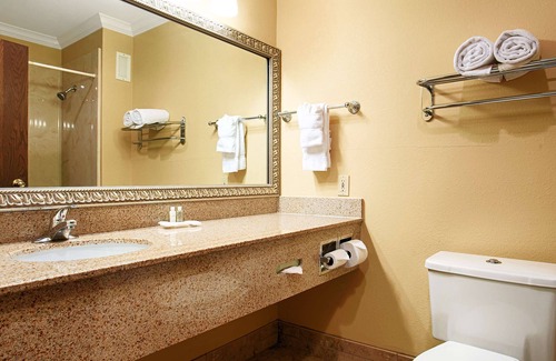 Tyler Hotel | Best Western Plus Southpark Inn & Suites