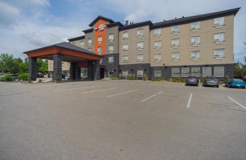 St. Albert Hotel | Best Western Plus St Albert