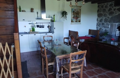 Saint-Martin-Valmeroux Cottage | Between stone and wood - cosy 1809 gîte - up to 8p - nature and views