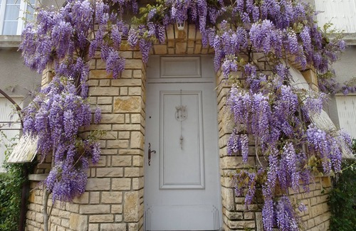 Collonge-la-Madeleine Cottage | Between Morvan and vineyards family home with private pond
