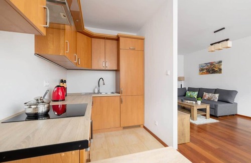 Pradnik Bialy Apartment | Białoprądnicka 24D | Traditional Apartment | WiFi