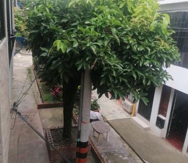 Ibague House | Bienvenido a tu segundo hogar a dos cuadras del centro recreaciónal lagos club comfatolima