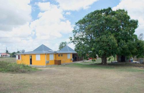 Port-Louis House | Bienvenue Au Tropic Venucia