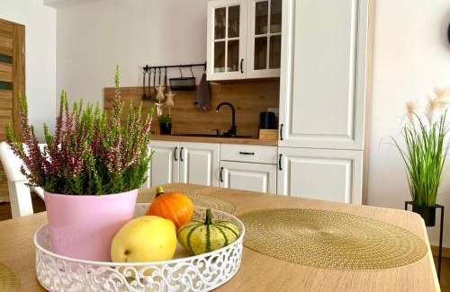 Polanczyk Apartment | Bieszczadzkie Siedlisko Apartamenty i noclegi nad Jeziorem Solińskim Myczków blisko Solina i Polańczyk