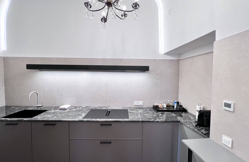 Ljubljana Old Town Apartment | Big and spaceous modern apartment