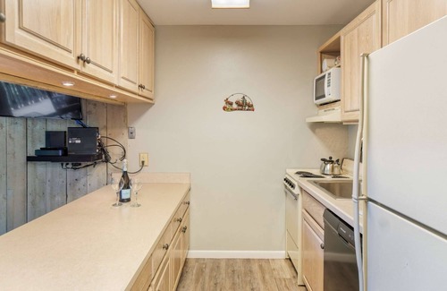 Snowmass Village Condo | Big Savings, More Nights! 15% off 3 night stays thru Dec 14