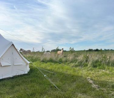 Stege Other | Big tent with real beds and ocean view