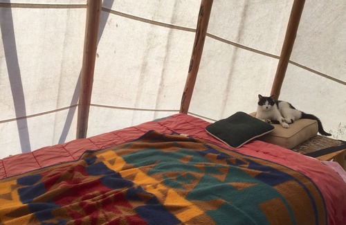 Bigfork RV Rental | Bird Lodge Tipi's at Stepping Stone