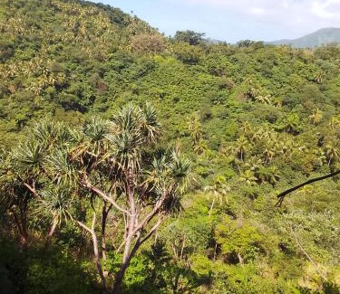 Santo Bed & Breakfast | Bird view bungalows
