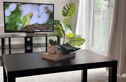 Convention Quarter Apartment | Birmingham city centre apartment