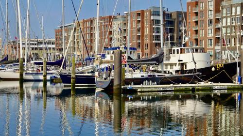 Vissershaven Apartment | Bizstay Harbour II Scheveningen Apartments
