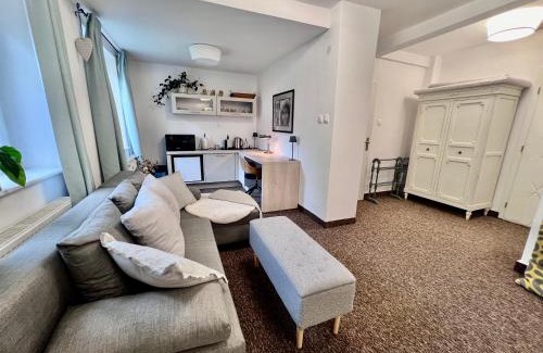 Banska Bystrica Apartment | BL - The Townhouse, 24hr Self Check-in, Free Private Parking, Garden, Adjacent to beautiful City Park, City Centre 5 min walk