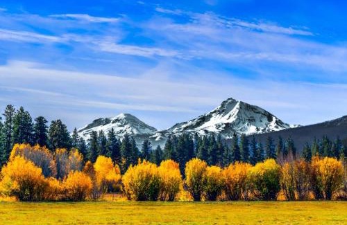 Black Butte Ranch House | Black Butte Ranch: Hedge Nettle Cabin