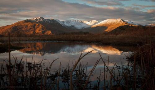 Ambleside House | Blea Hut