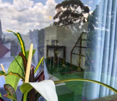 Ella Bed & Breakfast | Bloom Heights