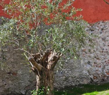 Varazze Bed & Breakfast | Blu Oltremare camere bijoux