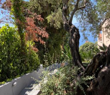 Barbati Apartment | Blue corfu view