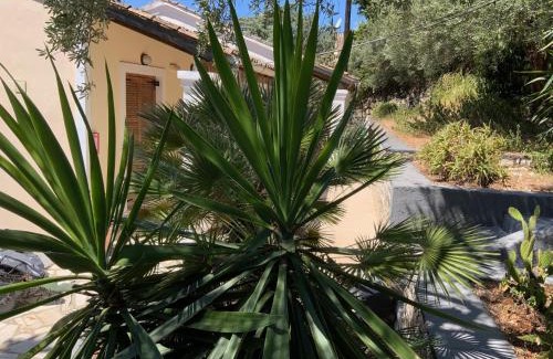 Barbati Apartment | Blue corfu view