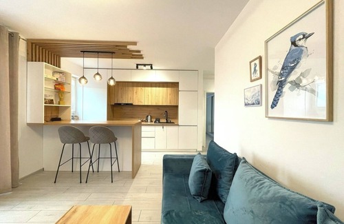 Brasov Apartment | Blue Jay's Nest — AC and Stylish Terrace