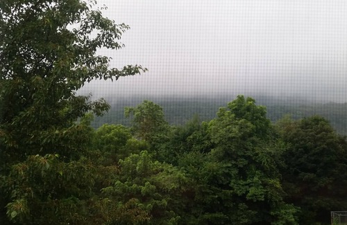 Bolivar House | Blue Ridge Beauty 2 BDRM 2.5 BATH Home Mountains Rivers Wineries Brewery Casino