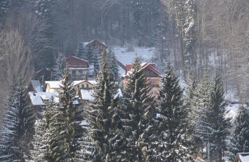 Sinaia Apartment | Blue SKY Resort Colina Marei